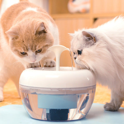 Automatic circulation filtering water dispenser