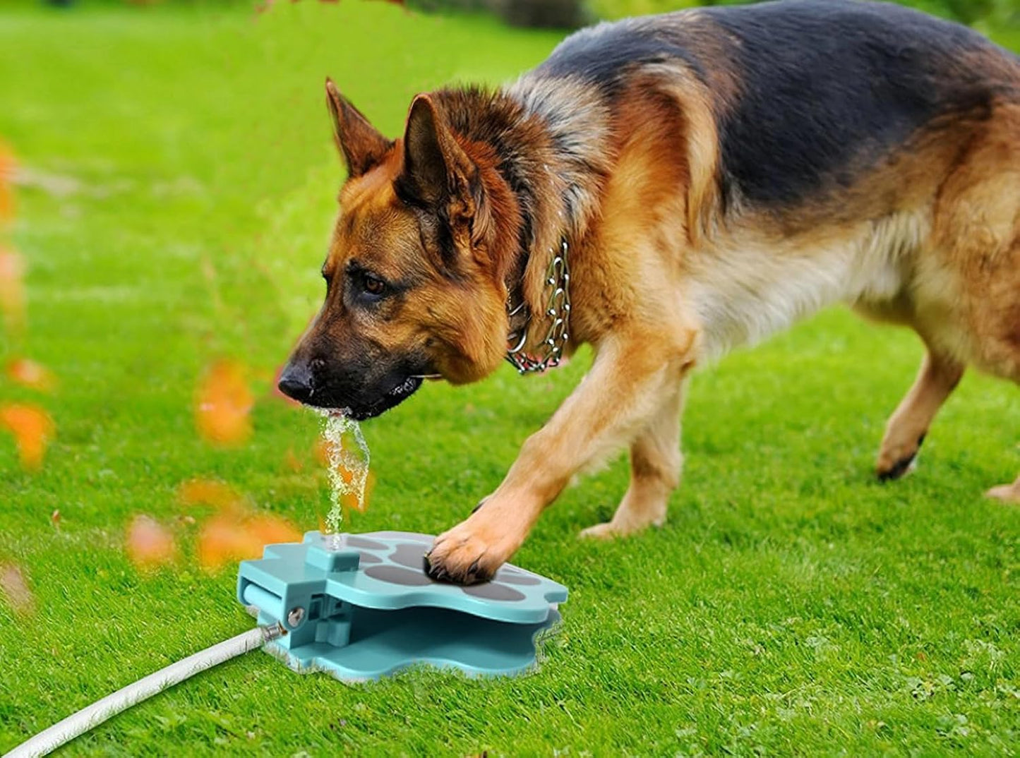 Pet Outdoor Foot Pressure Automatic Water Dispenser